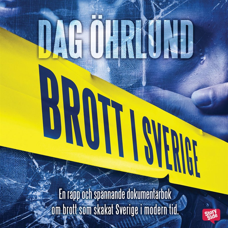 Brott i Sverige book cover