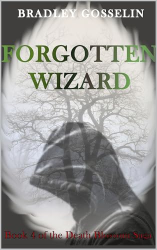 Forgotten Wizard book cover