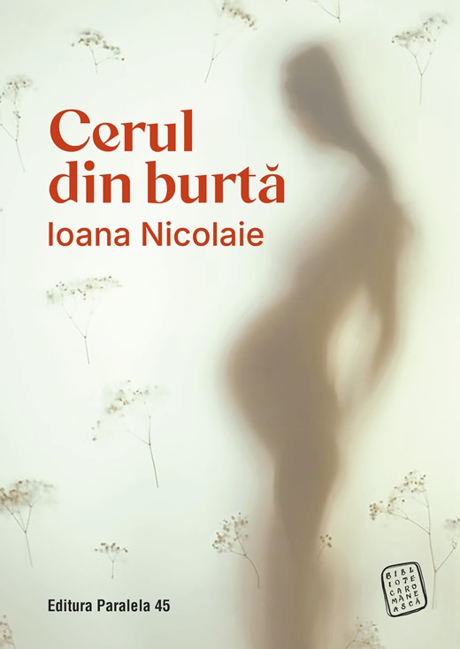 Cerul din burtă book cover