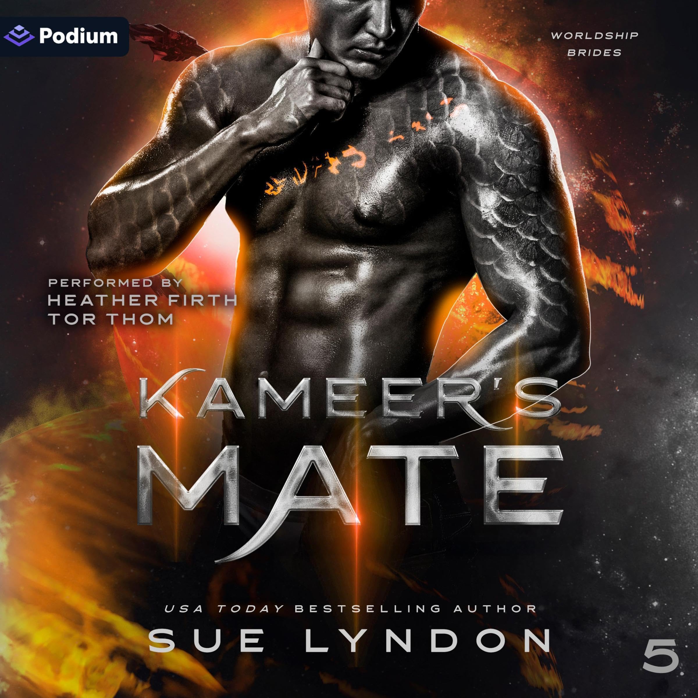 Kameer's Mate book cover