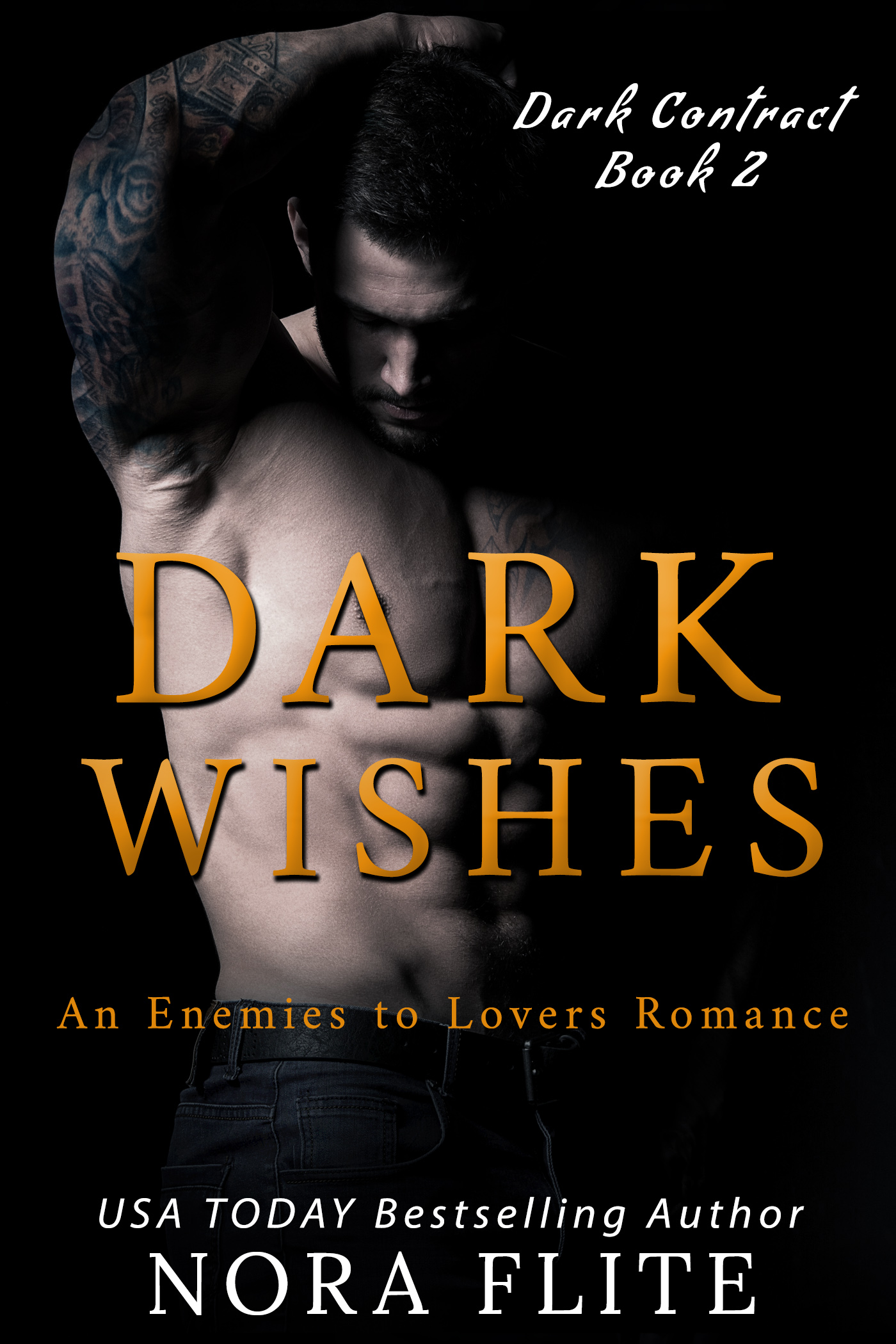 Dark Wishes book cover