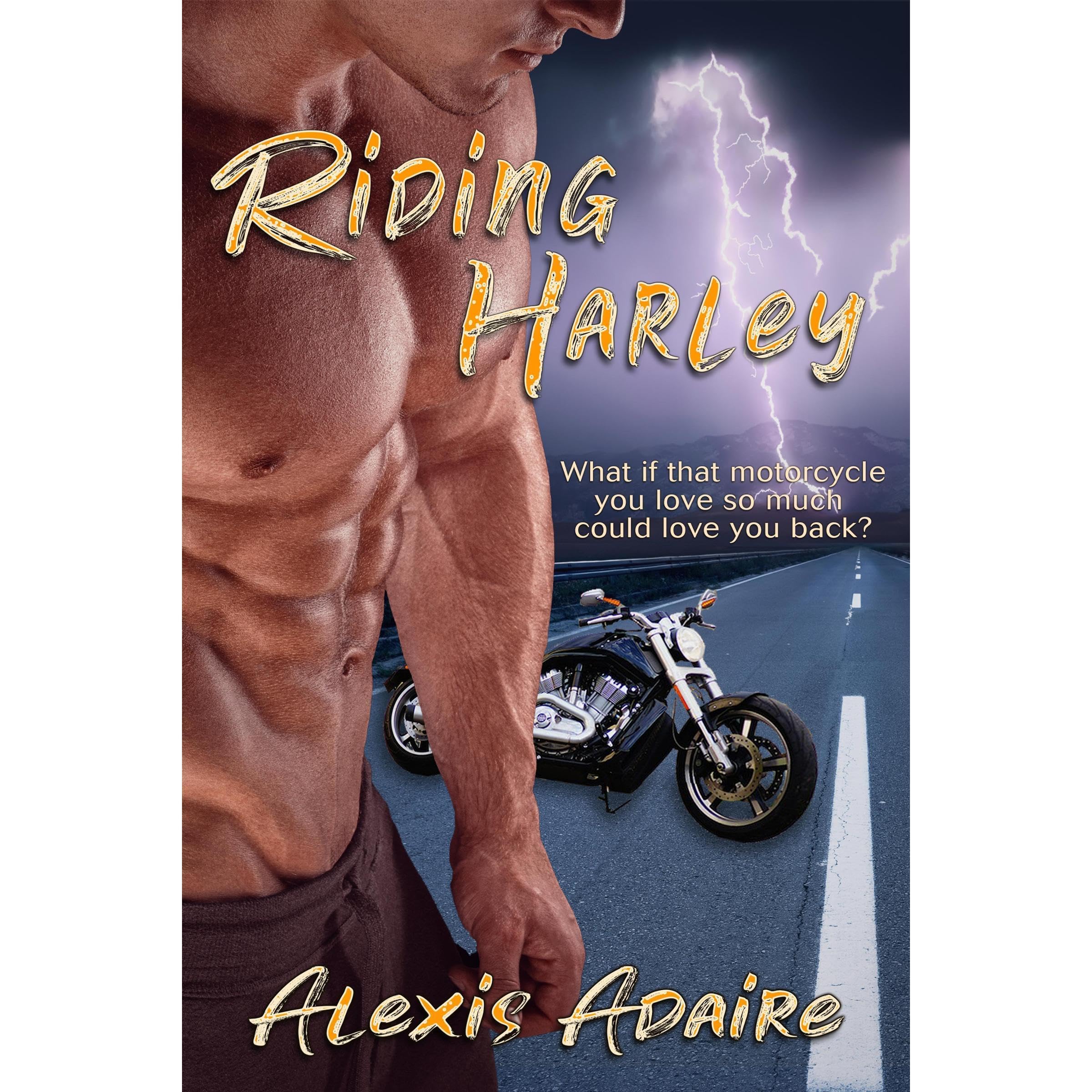 Riding Harley book cover