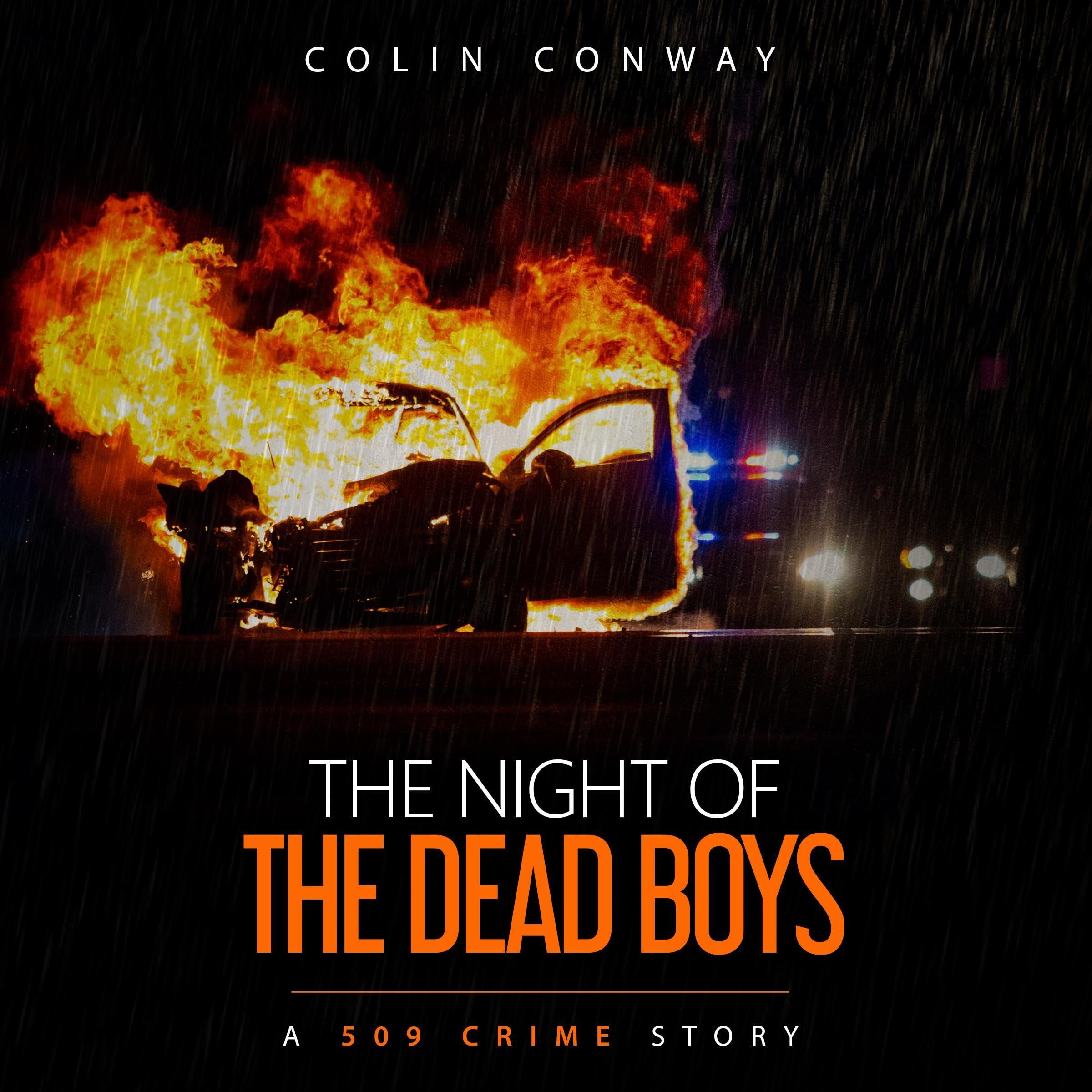The Night of the Dead Boys book cover