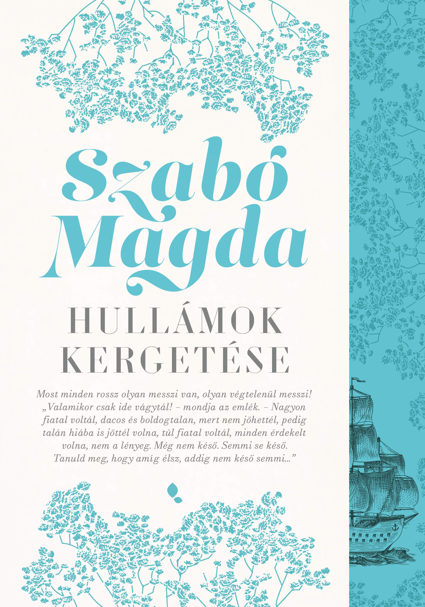Hullámok kergetése book cover