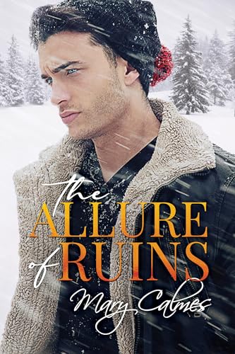 The Allure of Ruins book cover