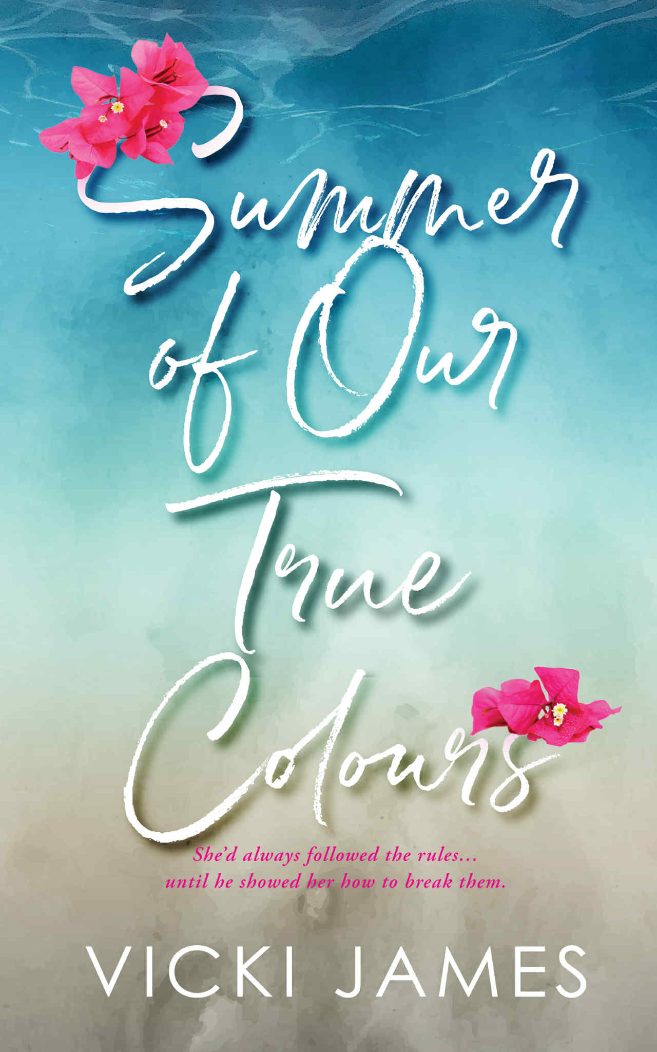 Summer of Our True Colours book cover