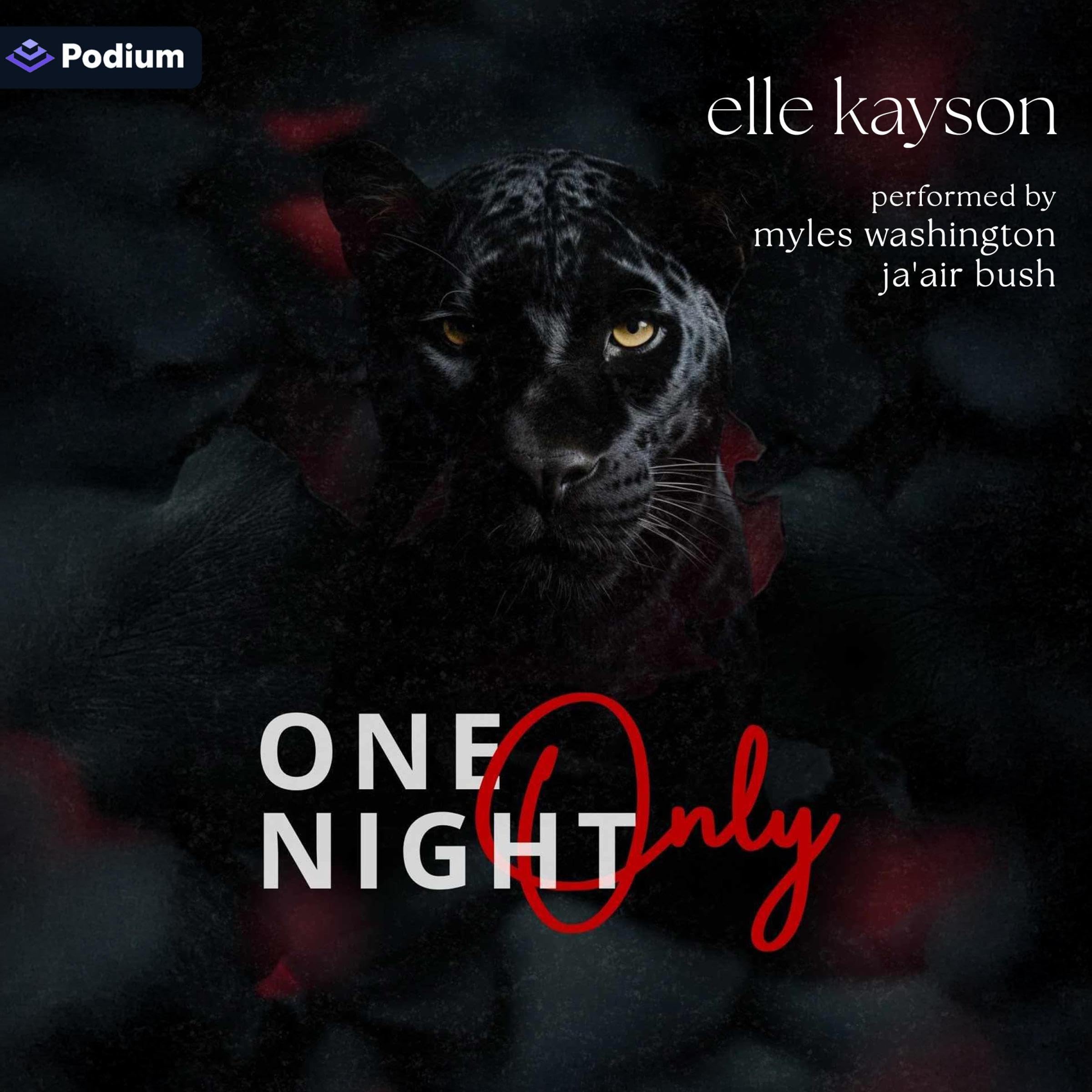 One Night Only book cover