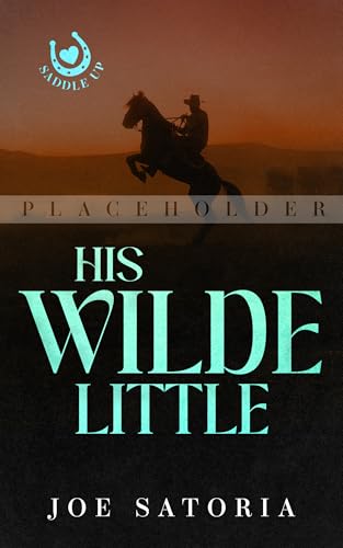 His Wilde Little book cover