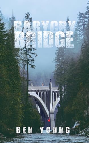 Babycry Bridge book cover
