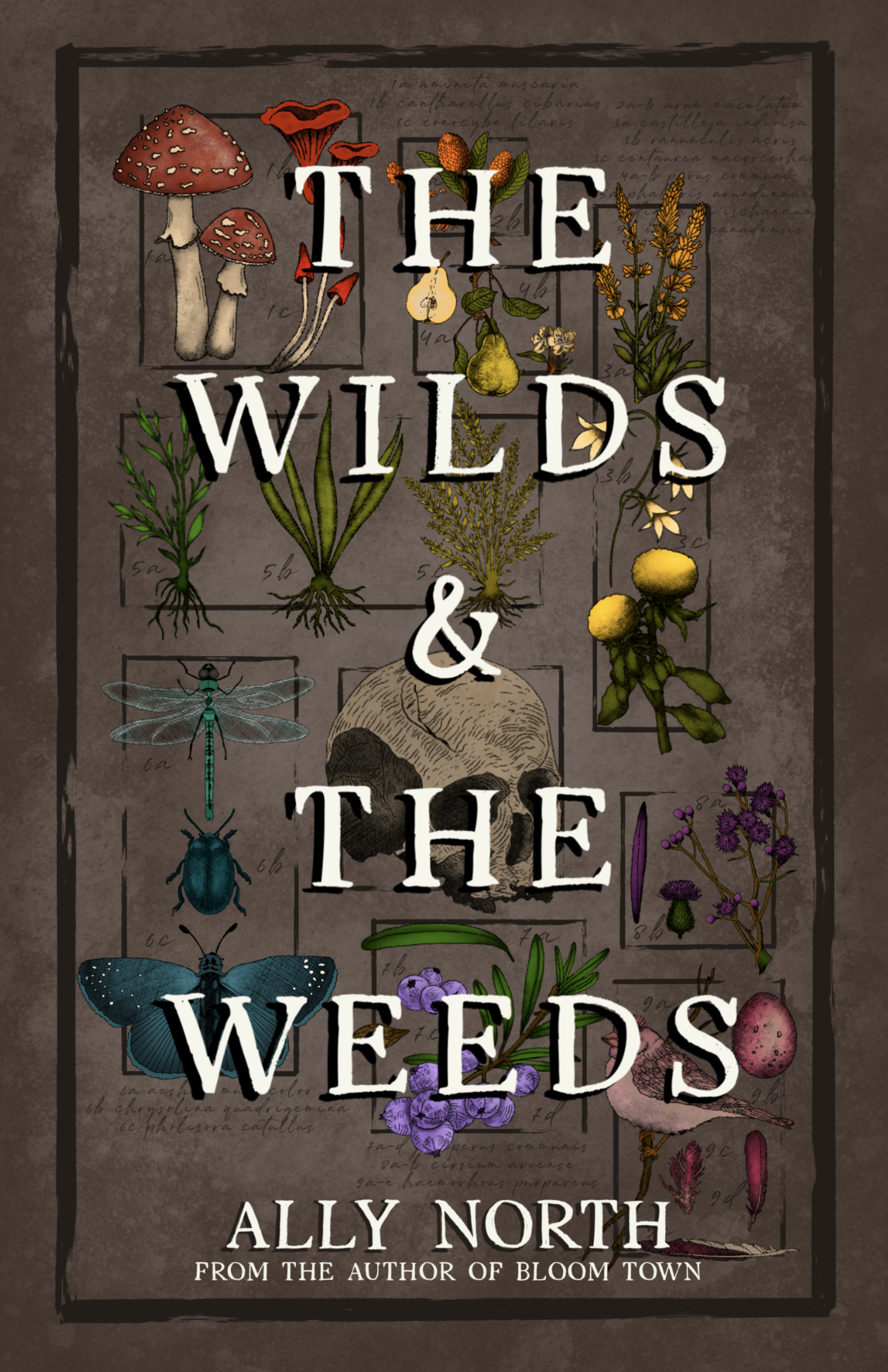 The Wilds & The Weeds