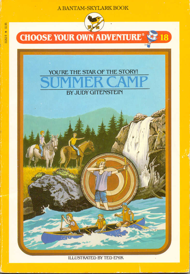 Summer Camp book cover