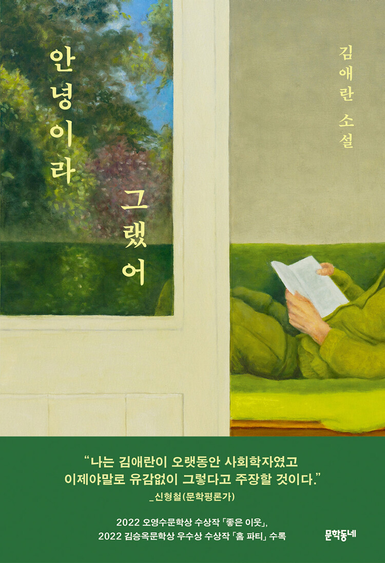 안녕이라 그랬어 book cover