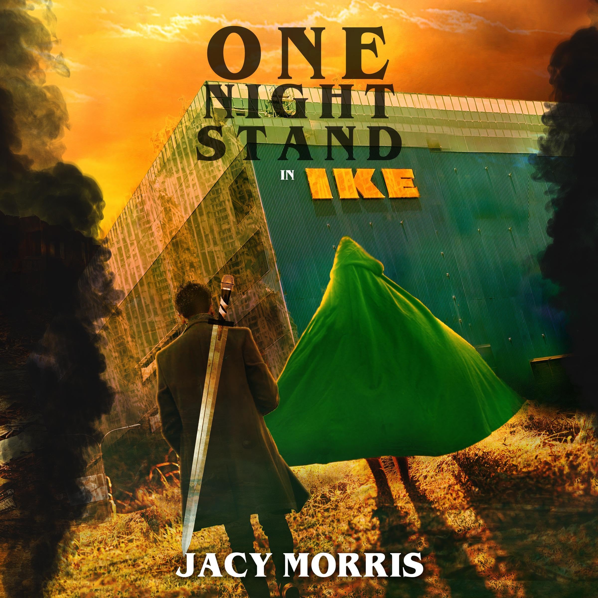 One Night Stand in Ike book cover
