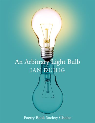 An Arbitrary Light Bulb book cover