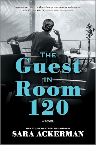 The Guest in Room 120: A Novel