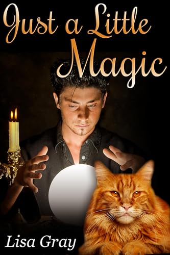 Just a Little Magic book cover