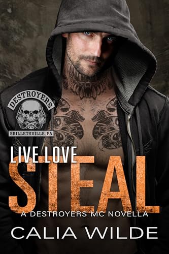 Live Love Steal book cover