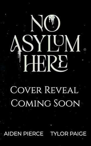 No Asylum Here book cover