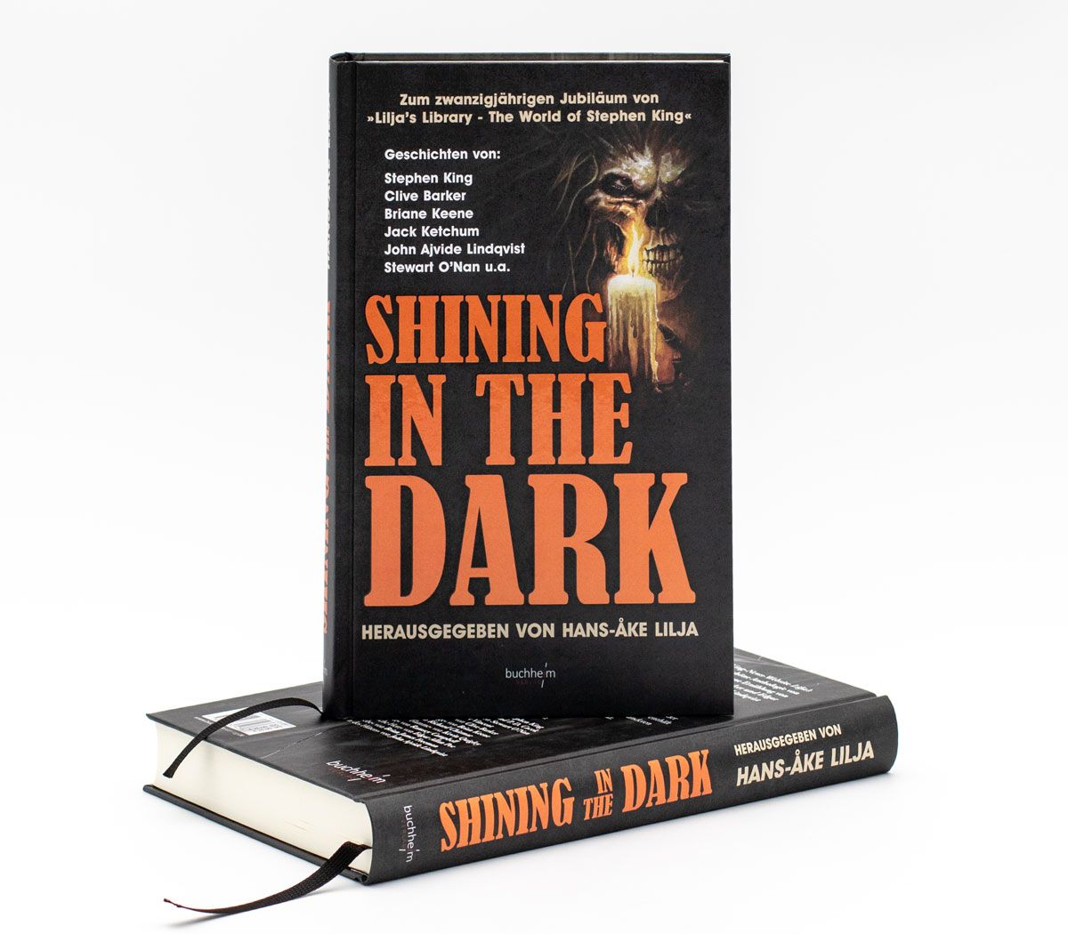 Shining in the Dark book cover