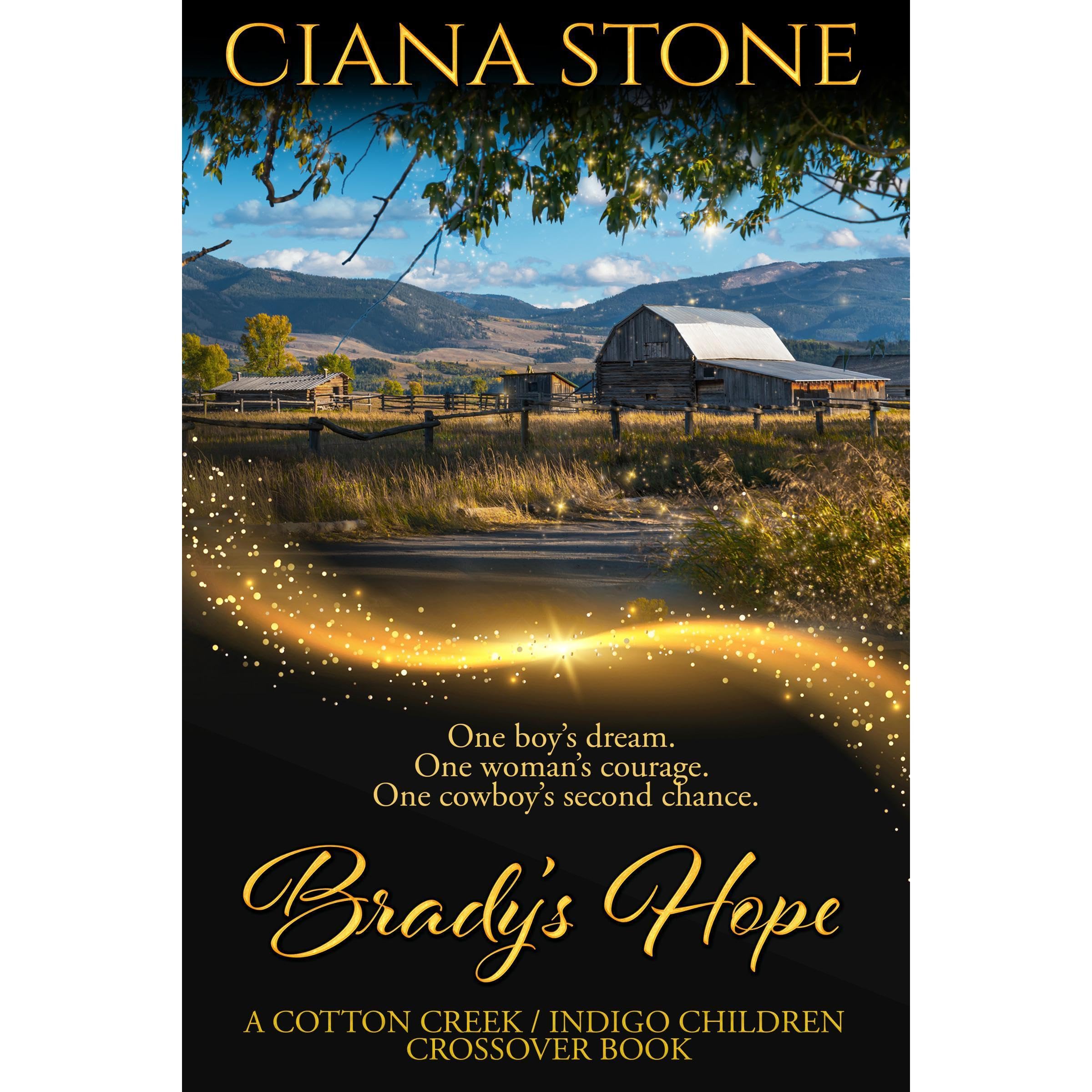 Brady's Hope book cover