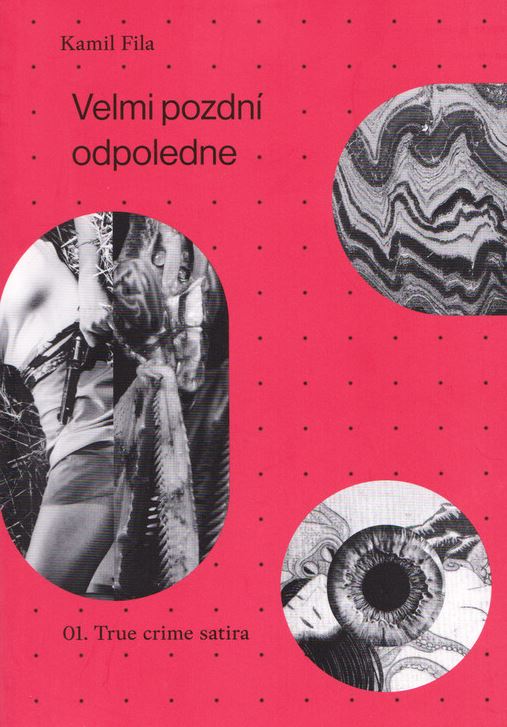 Velmi pozdní odpoledne book cover 1