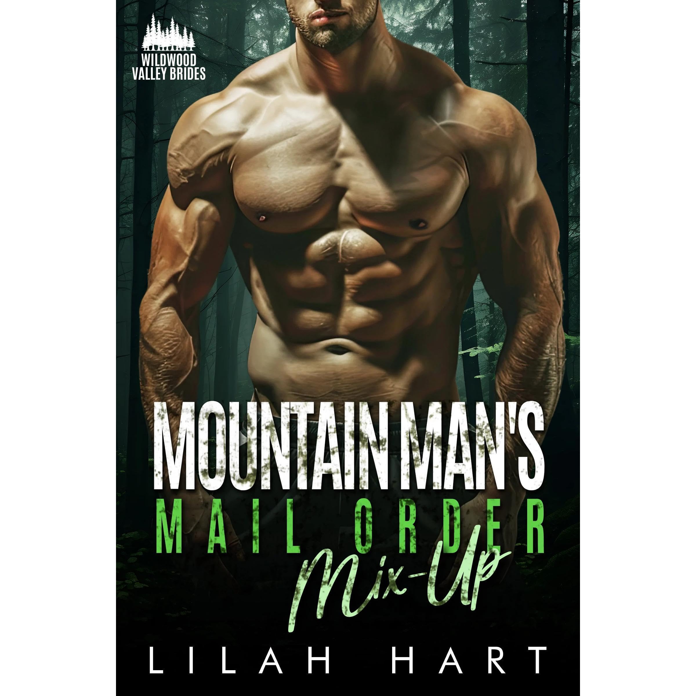 Mountain Man's Mail Order Mix-Up book cover