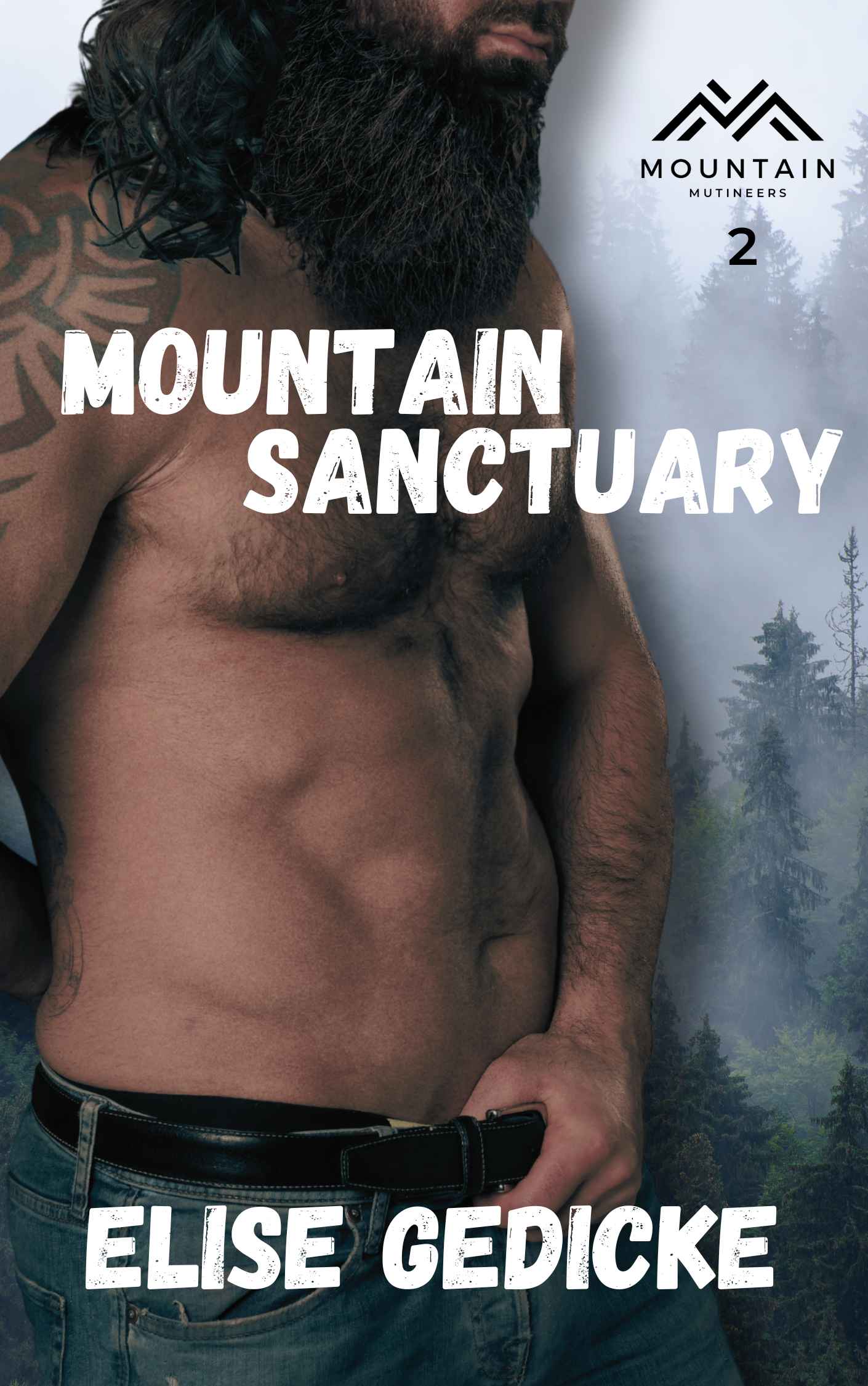 Mountain Sanctuary book cover