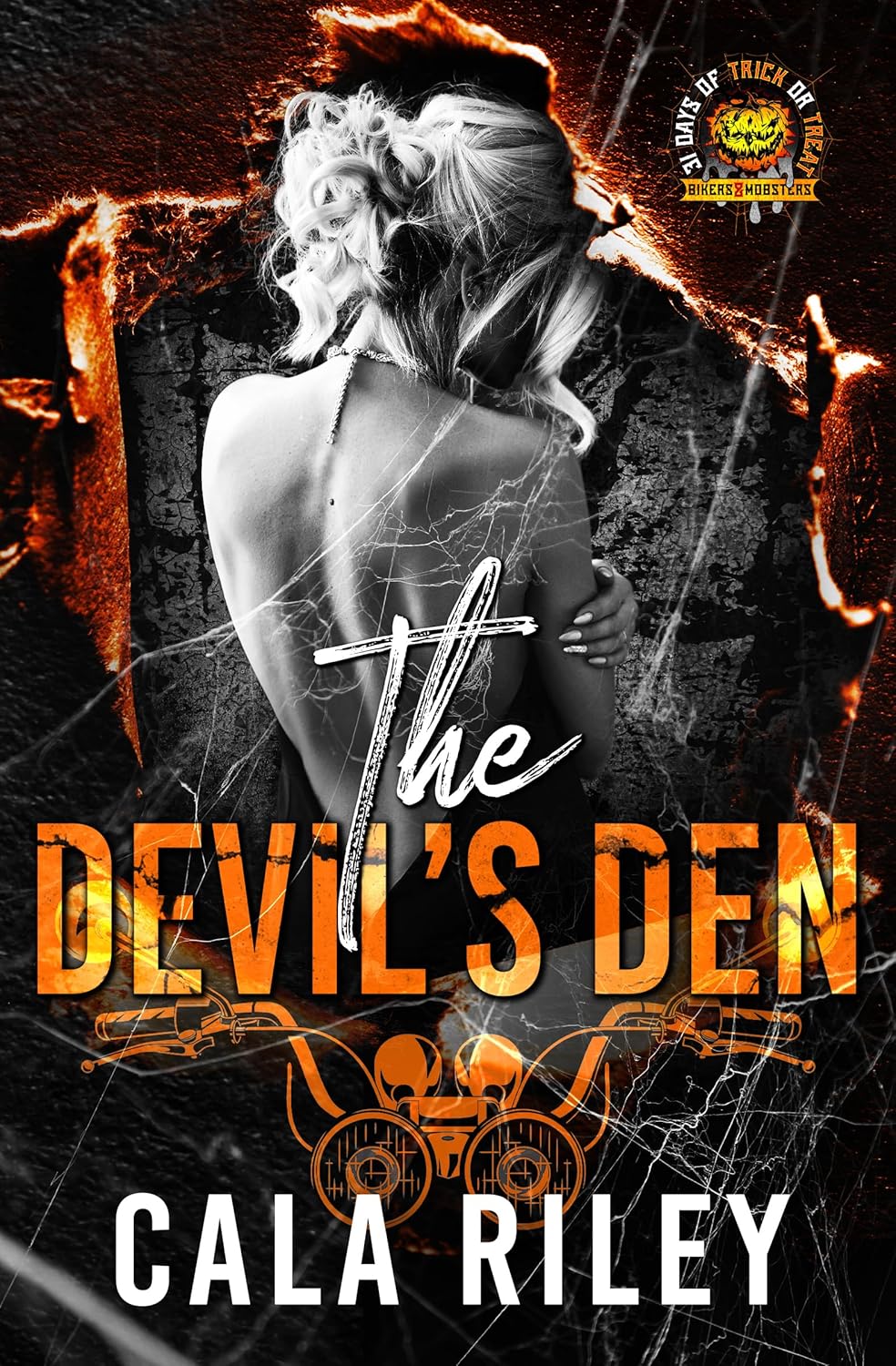 The Devil's Den book cover