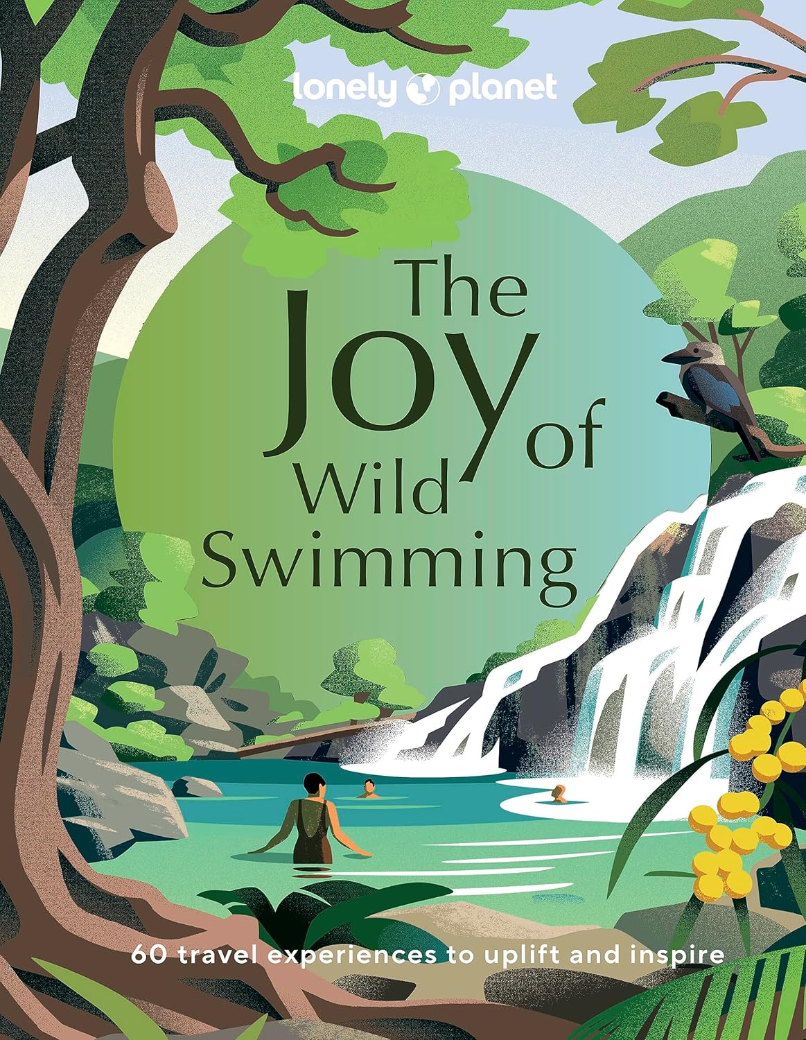 The Joy of Wild Swimming book cover