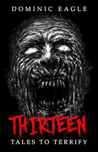 Thirteen book cover