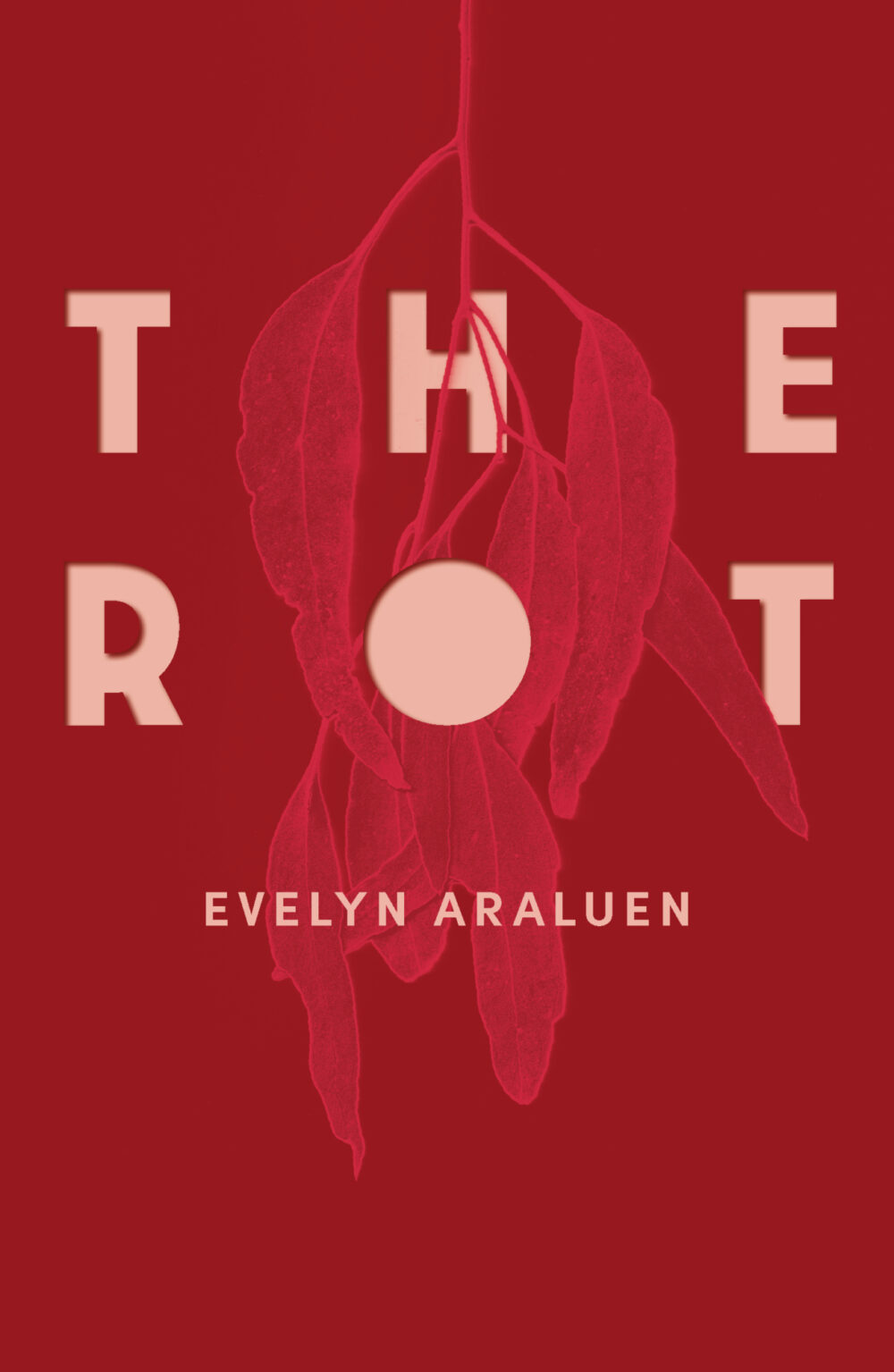 The Rot book cover