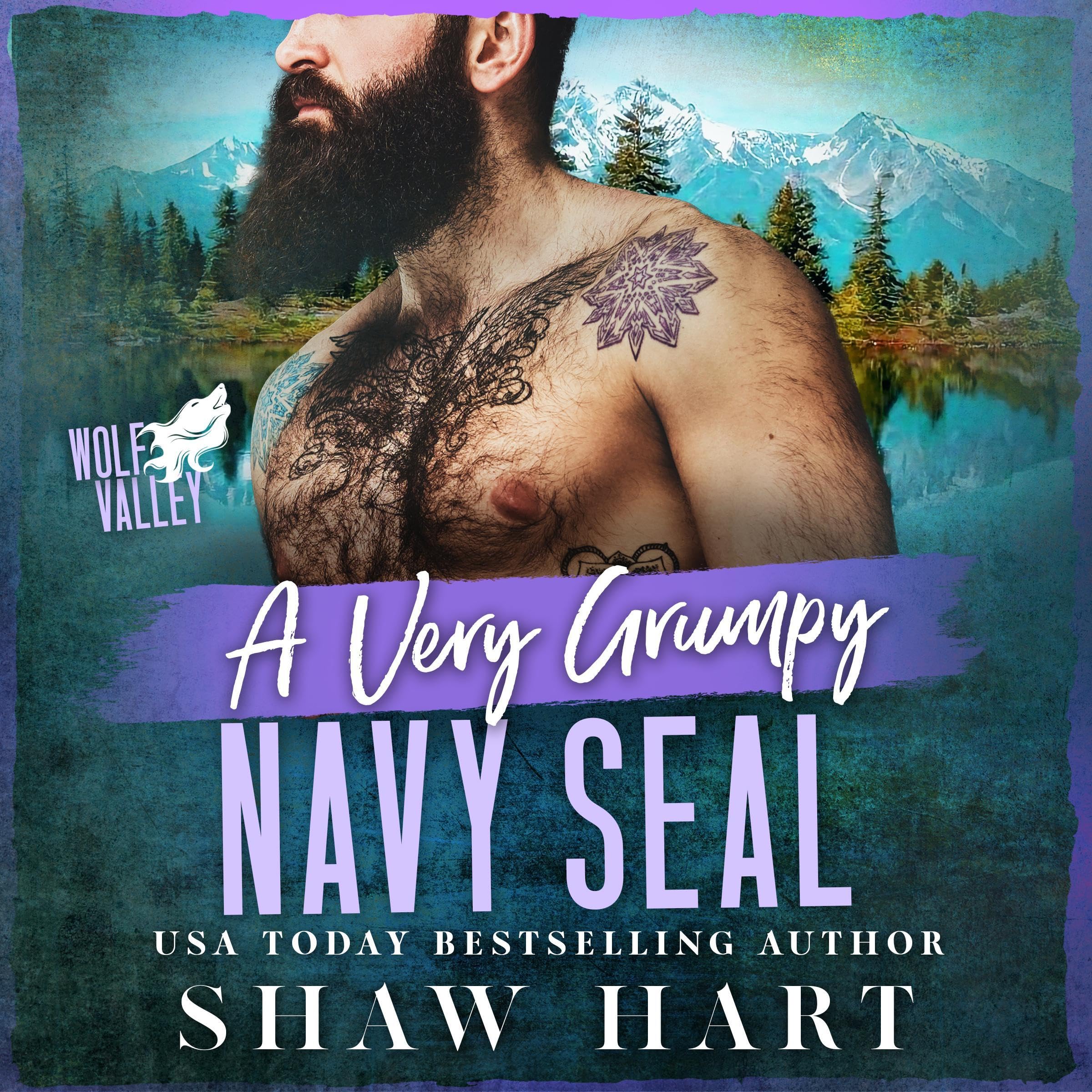 A Very Grumpy Navy SEAL book cover