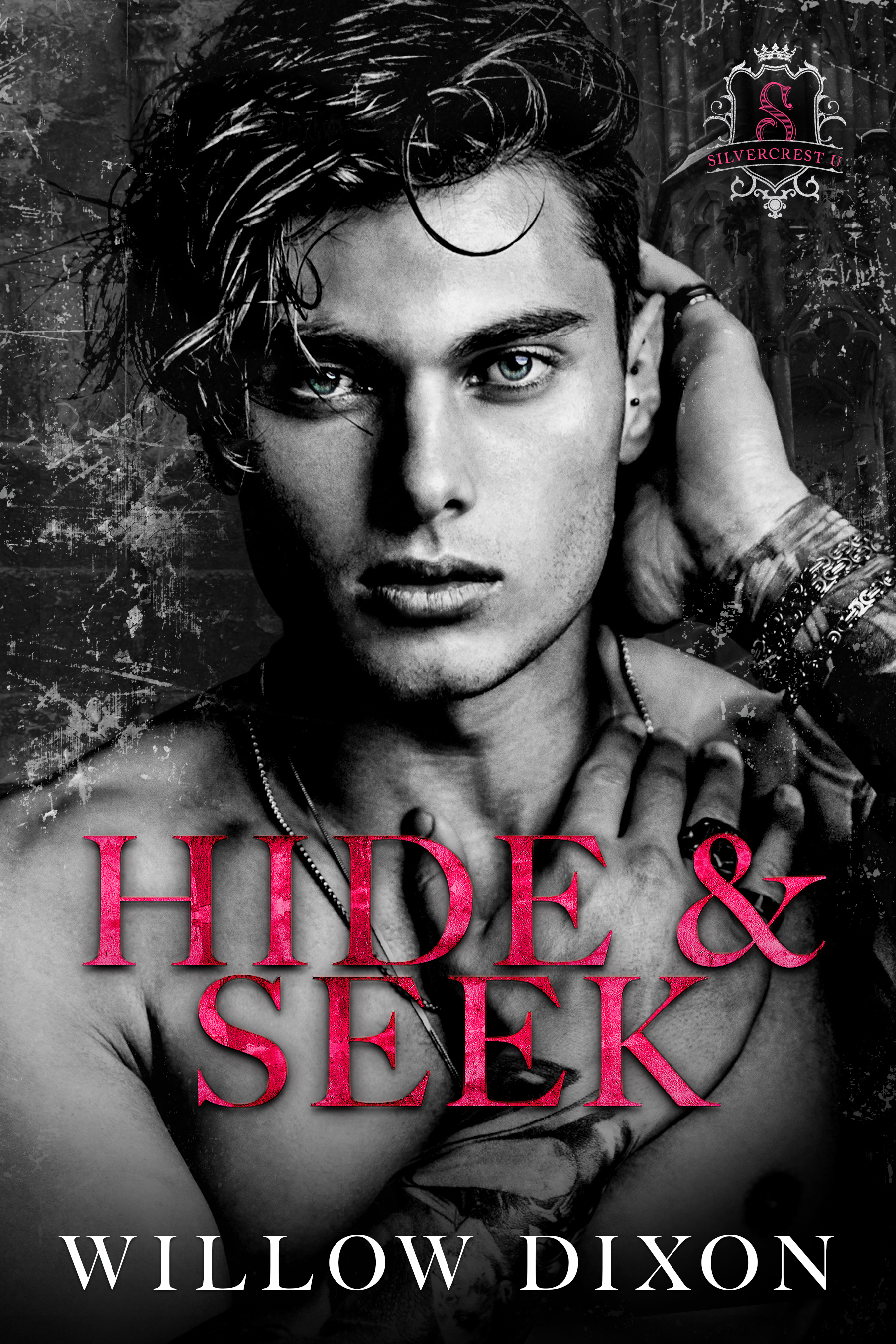 Silvercrest U book cover 1