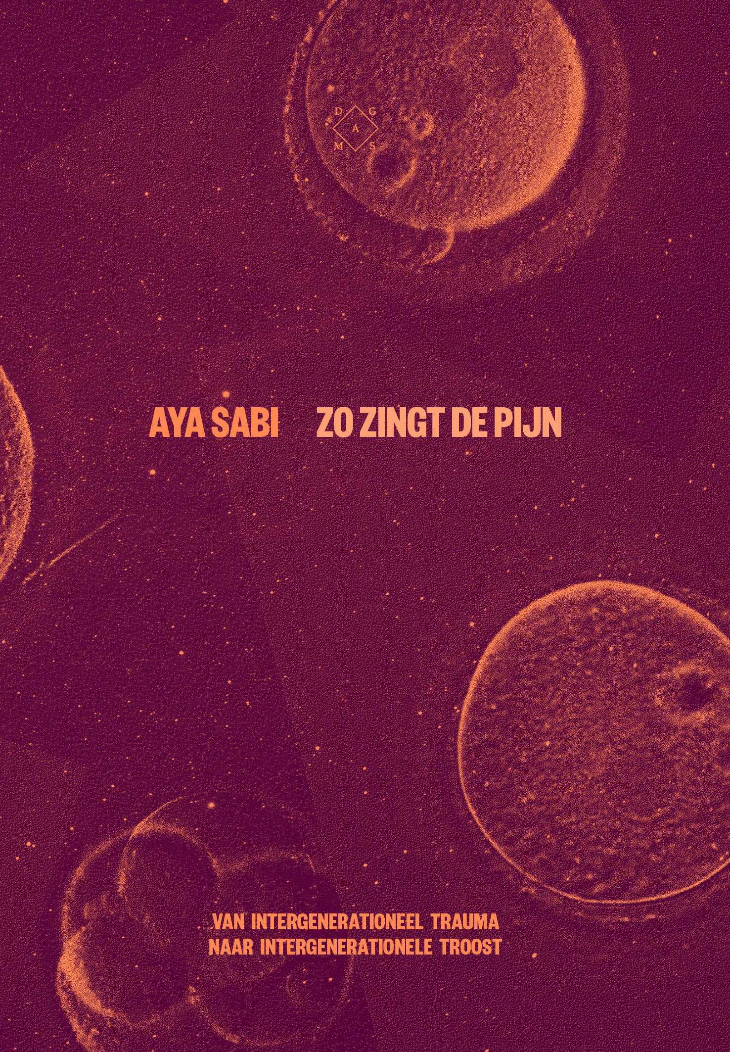 Zo zingt de pijn book cover