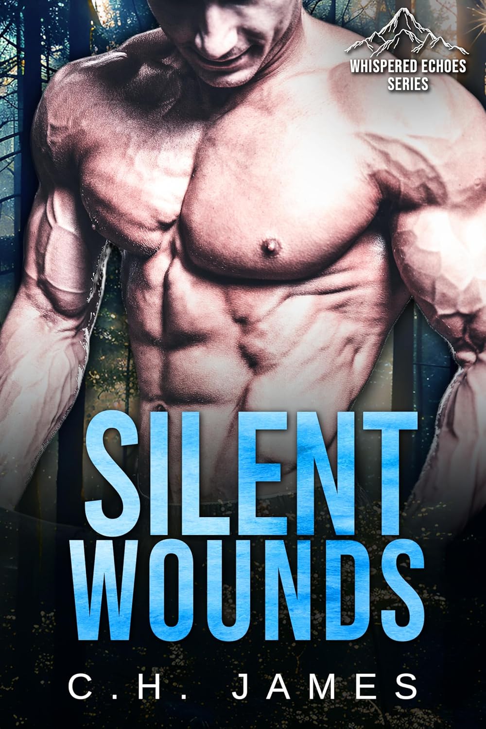 Silent Wounds book cover