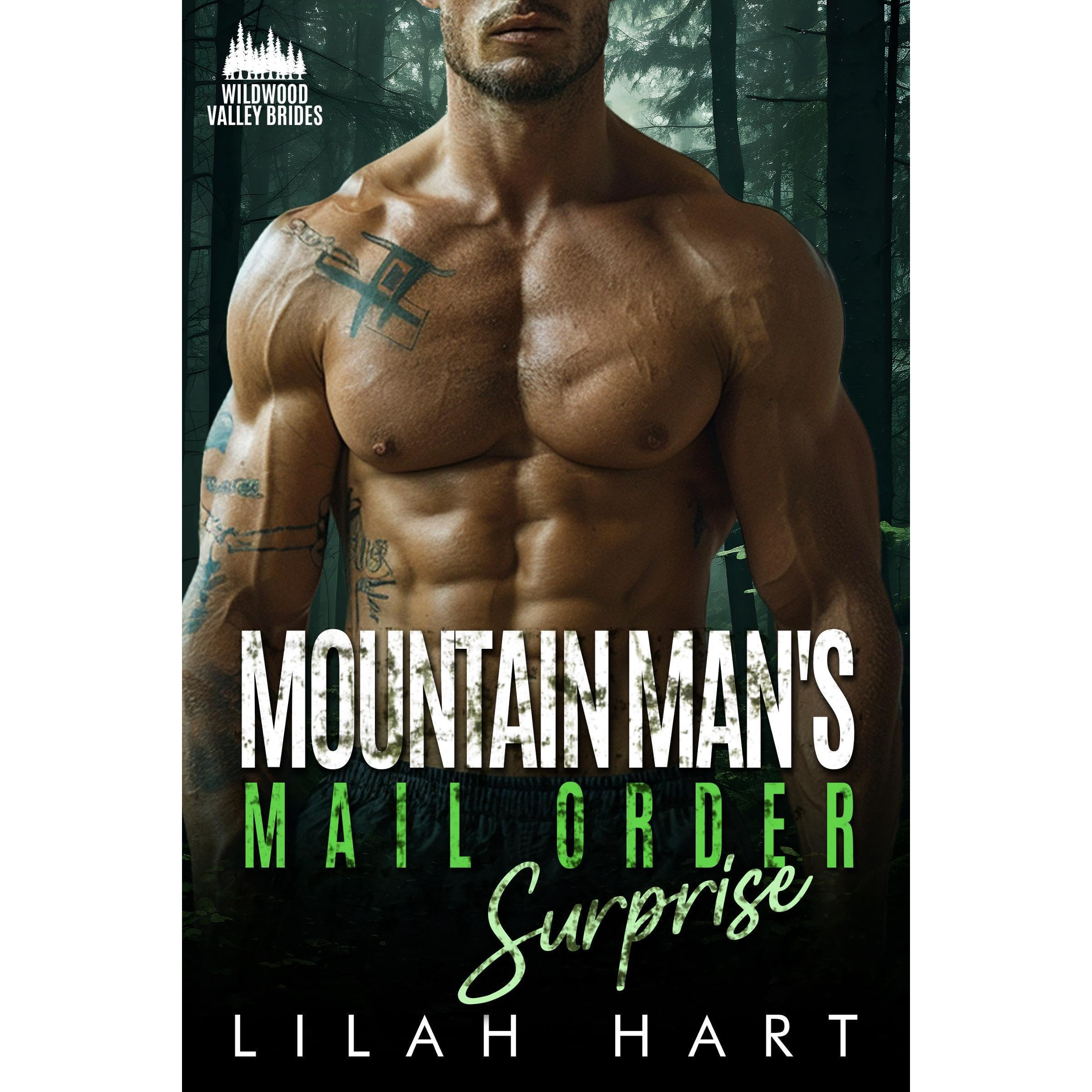 Mountain Man's Mail Order Surprise book cover