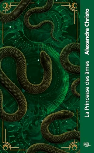 La Princesse des âmes book cover
