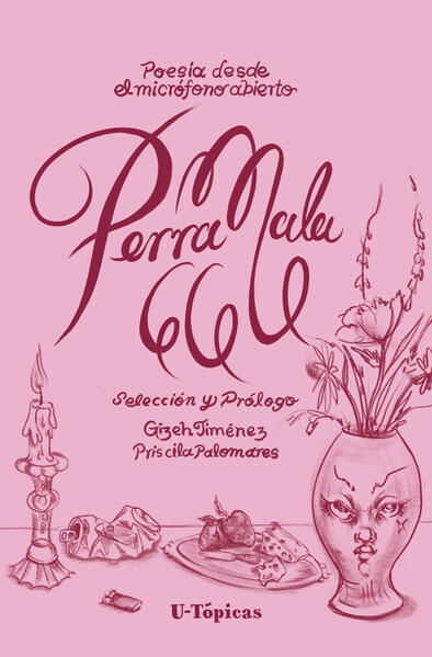 Perra Mala 666 book cover
