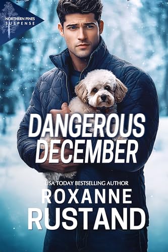 DANGEROUS DECEMBER book cover