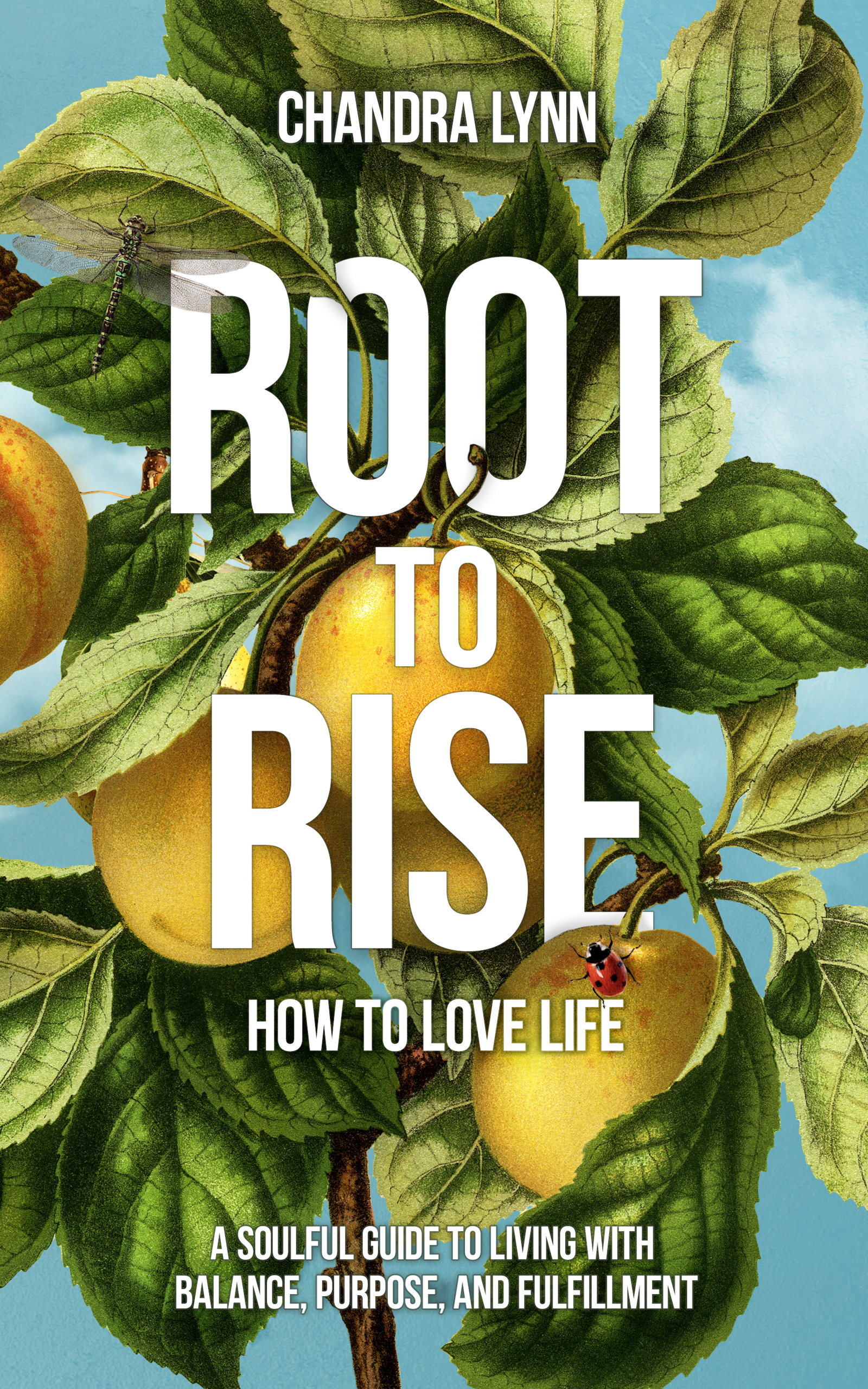 Root-to-Rise: How to Love Life: A soulful guide to living with balance ...