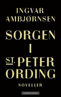 Sorgen i St. Peter Ording book cover