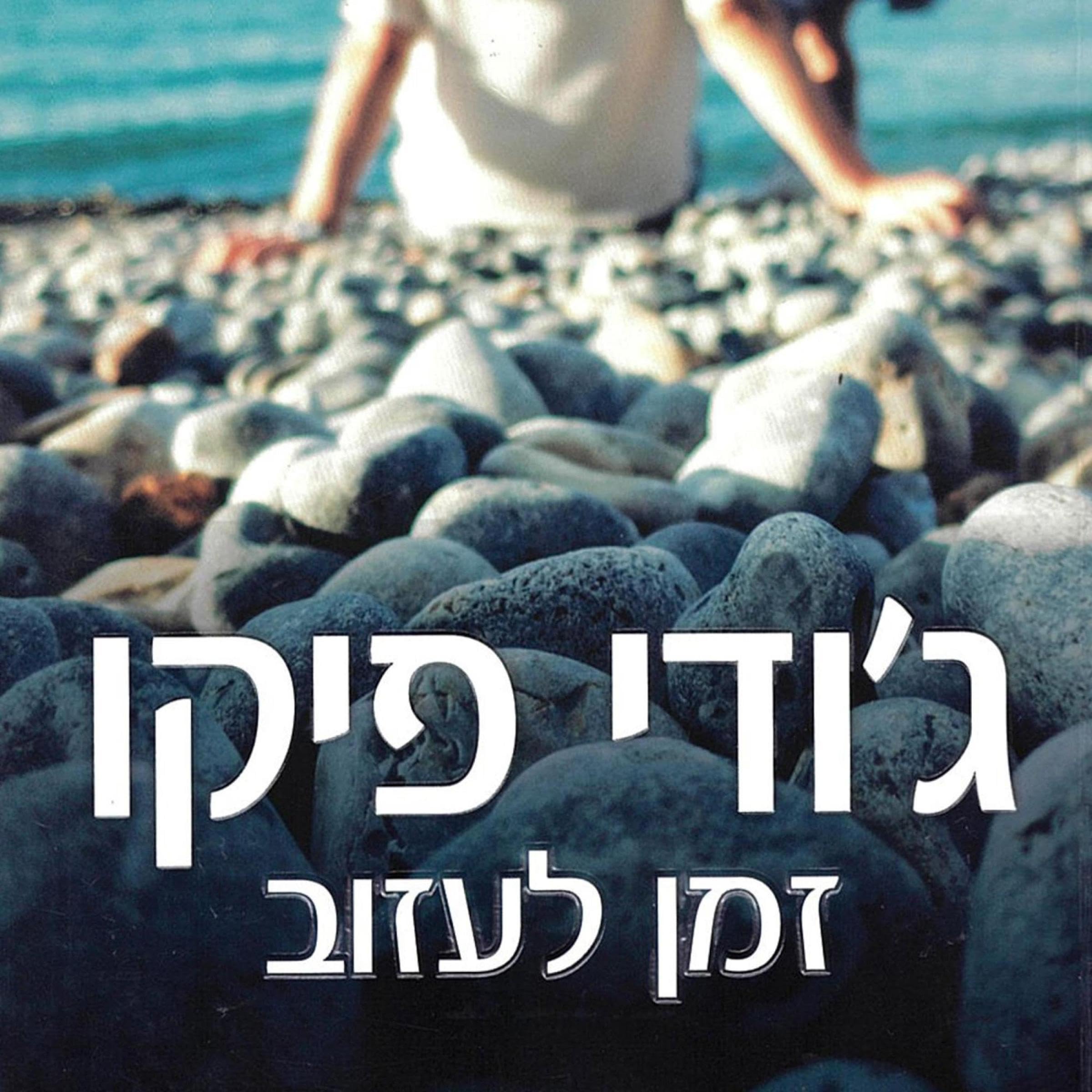 זמן לעזוב book cover