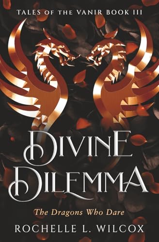 Divine Dilemma book cover