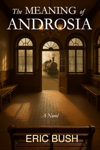 The Meaning of Androsia Book Cover