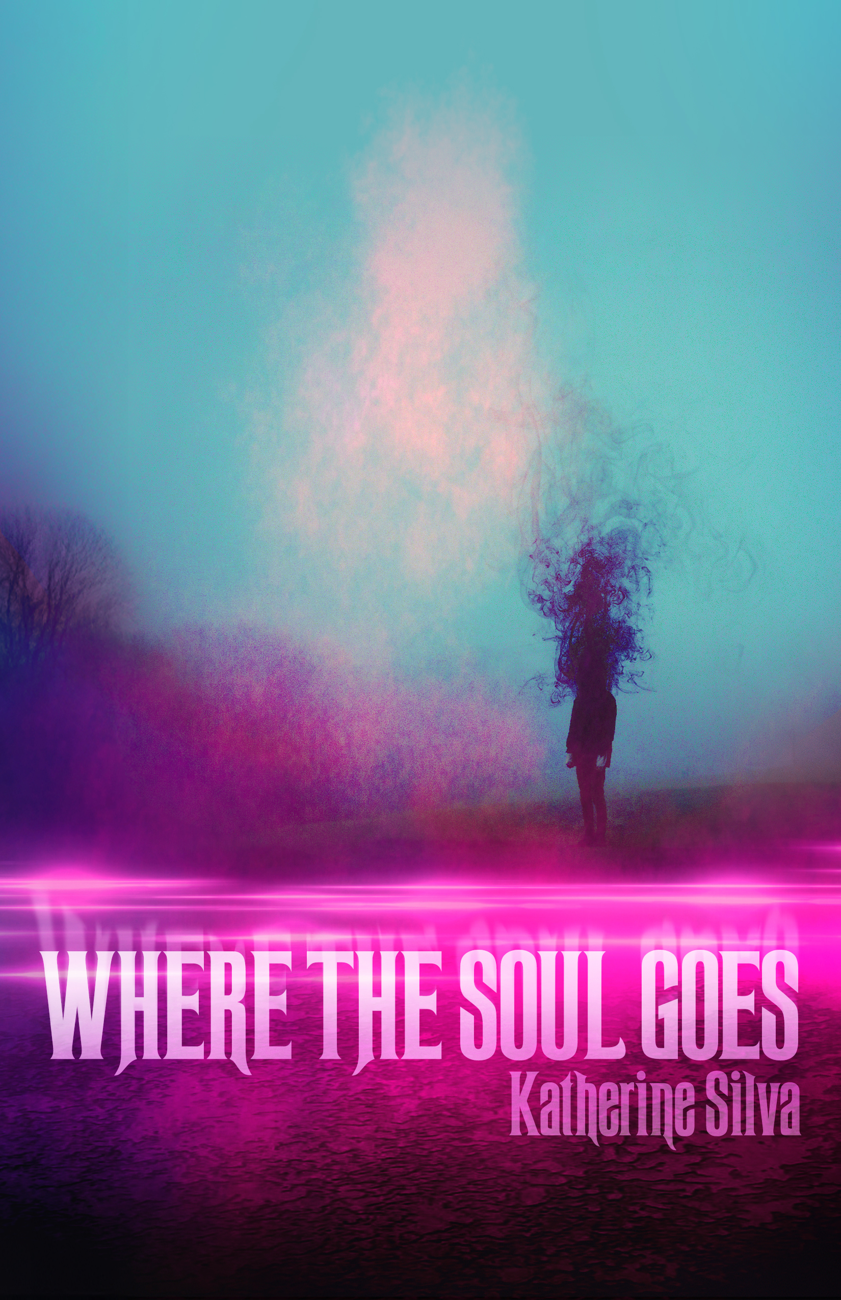 Where the Soul Goes book cover