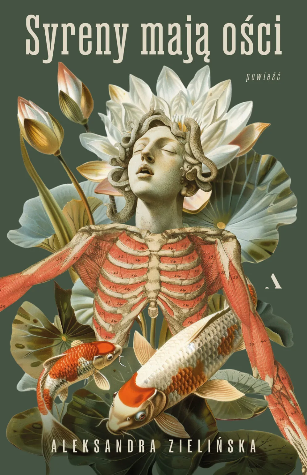 Syreny mają ości book cover
