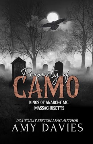 Property of Camo book cover
