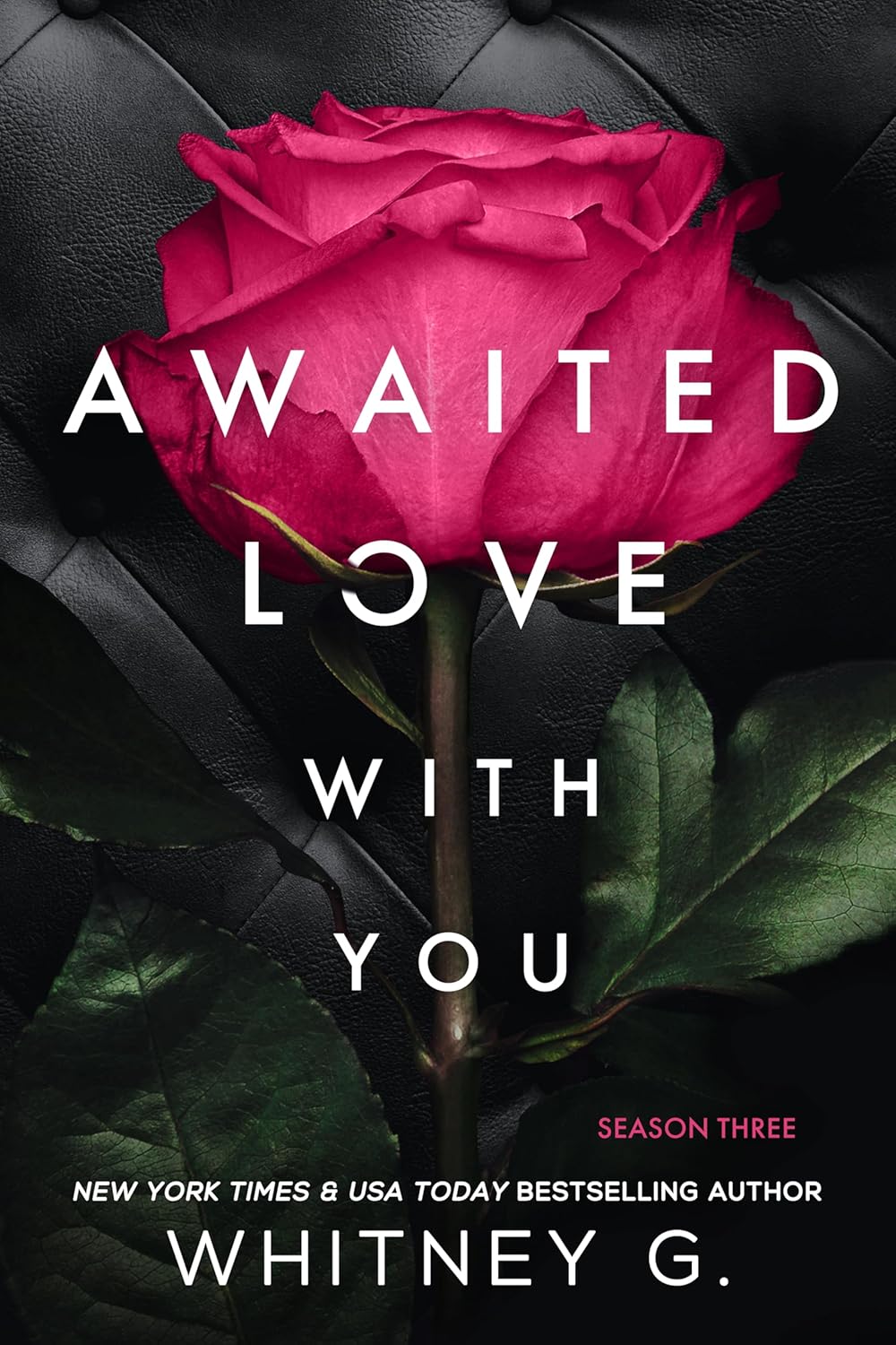 Awaited Love with You book cover
