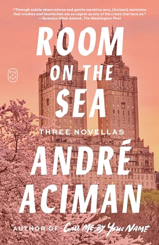 Room on the Sea book cover