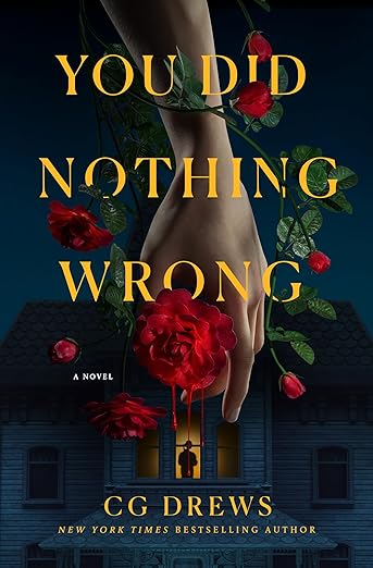 You Did Nothing Wrong book cover